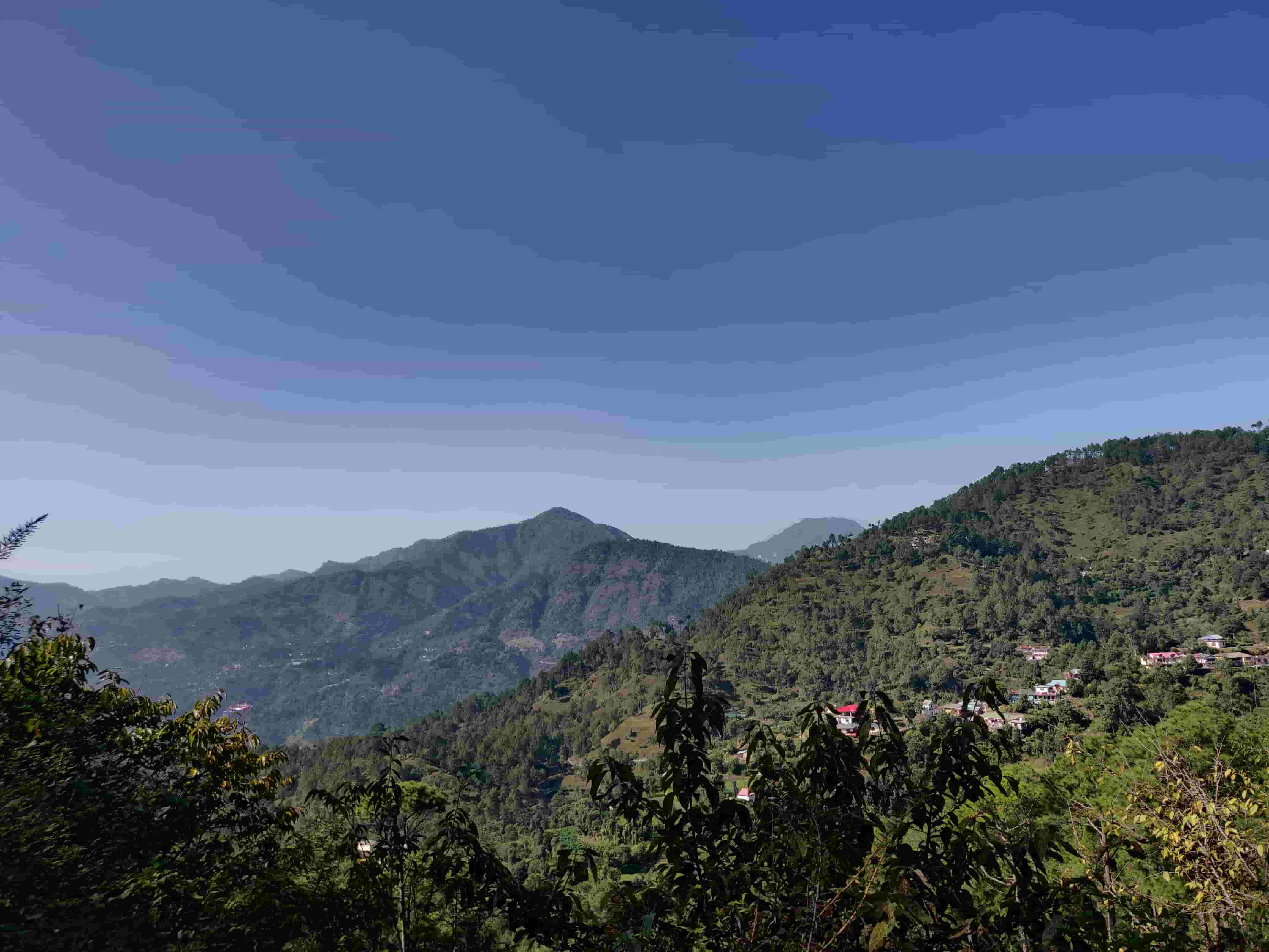 Jungle Stays Camp Retreat - 2021 Image 4