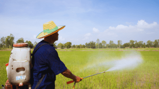 bio_fertiliser_1